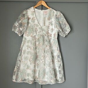 Audrey Parks Francesca’s Puffy Sleeve Dress.